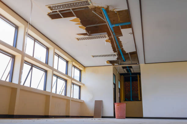 Best Water damage restoration near me  in Cabana Colony, FL