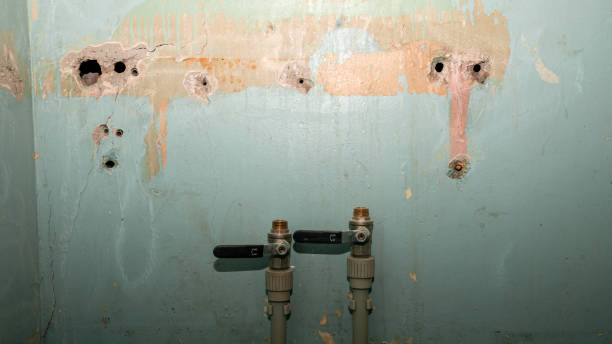 Cabana Colony, FL Water damage restoration Pros