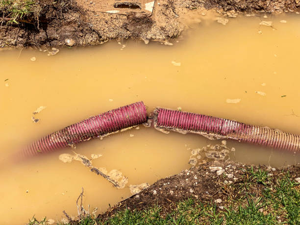 Best Sewage cleanup and water damage restoration  in Cabana Colony, FL