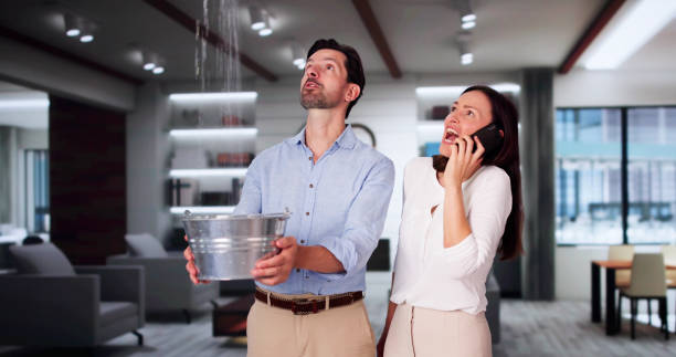 Best Flood restoration services  in Cabana Colony, FL