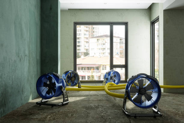 Trusted Cabana Colony, FL Water damage restoration Experts
