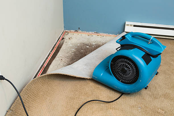 Best Carpet water damage restoration  in Cabana Colony, FL